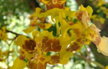 Chalé Serrano - Foto 23