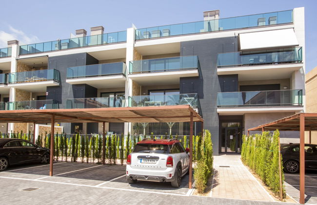 Golden Ray - Photo 35