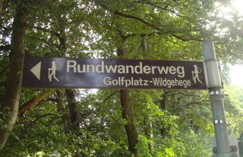 One-bedroom apartment - Foto 11