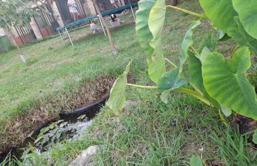 La Casa de las Ranas - Foto 18