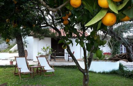 Gina Studios - Foto 25