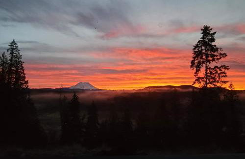 Stunning Mt Rainier Views!tahoma Ridge Cottage - Foto 55