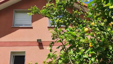 Casa A Vieira - Foto 5