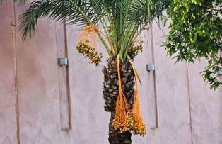 'Spanish Sunset' Vacation Apartment - Foto 19