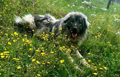 SetterHouseAgriHotel - Photo 30