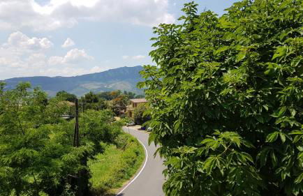 Casa Ugolini since 1857 - Foto 15