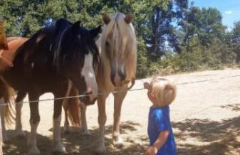 emplacement camping - Foto 16