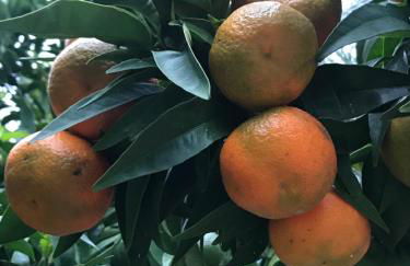 Rocca di Corno Guest House - Photo 61