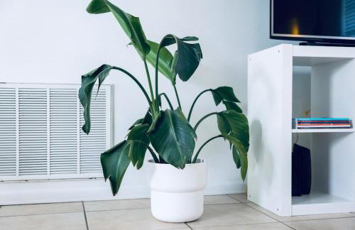 2BR Home with Private Pool, Fire Pit and Grill - Foto 45