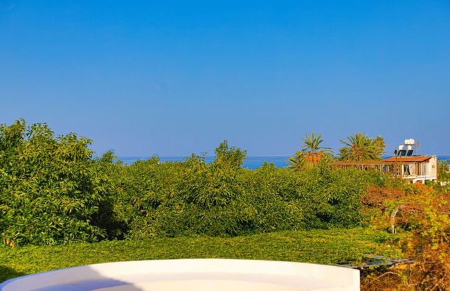 Villa Ira Finiki in Latchi - Foto 11