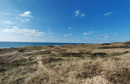 Les Sternes - Foto 62