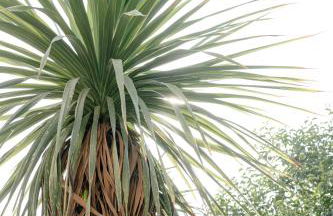 Casa Sole - Villetta al mare, patio e relax - Photo 33