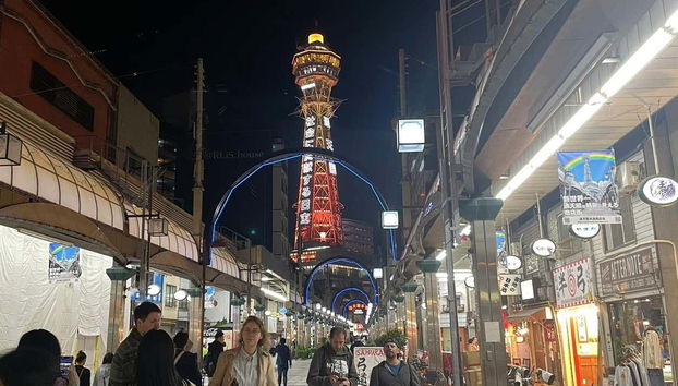 Osaka Private Walking Tour - Foto 4