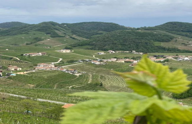 Farmhouse in Asolo Near Medieval Town - Foto 30