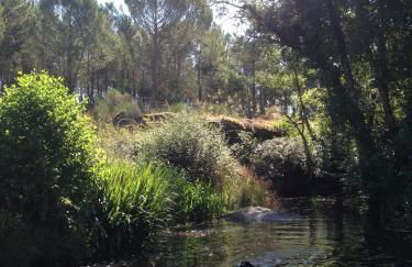 Quinta do Cobral - Foto 66