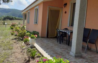 agriturismo gli olivastri -appartamento bel vedere con piscina ,solarium e vista mare,climatizzatore ,wifi - Photo 9