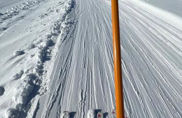 Mr. Sowa Sokolec - Foto 58