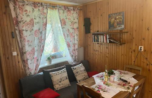 Domek Jancio Wodnik - Photo 38