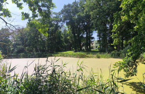 Herrenhaus Harmshagen - Foto 22