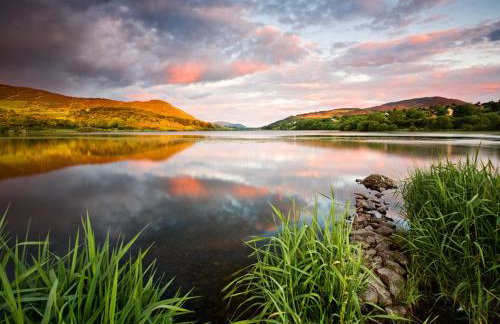 Sarah’s cottage - Foto 23