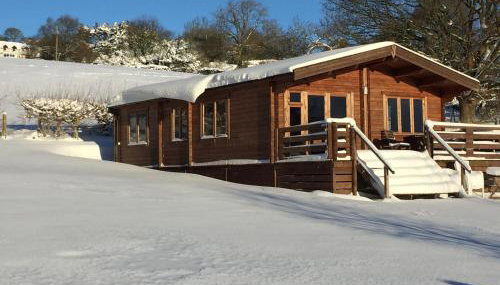 Long Mountain Centre Log Cabins - Foto 5, Garden