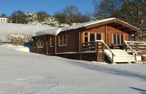 Long Mountain Centre Log Cabins - Foto 5