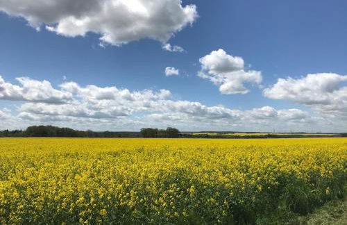 Ferienwohnung Zweinig02 - Foto 26