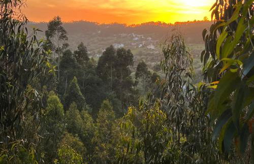 Quinta da nogueira - Foto 6