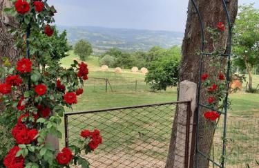 Agriturismo Il Truffarello TODI - Photo 33