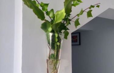 Wish you were here - Foto 13