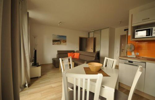 Apartament przy Parku Zdrojowym - Foto 9