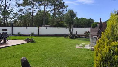 A PINTEGA DAS DUNAS - Foto 3