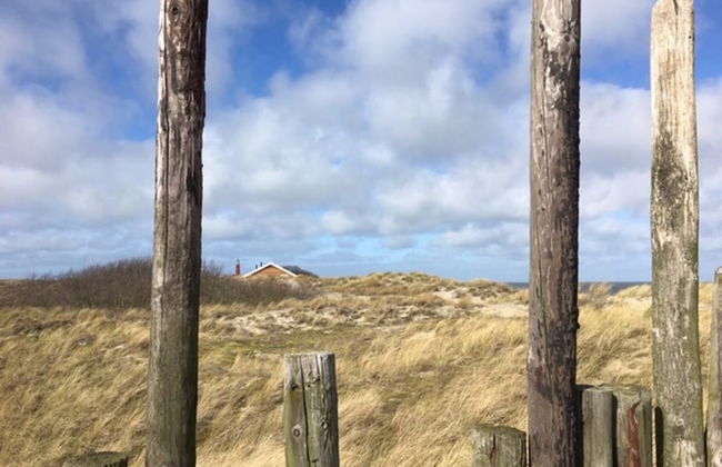 Pet-friendly Texel Escape - Foto 19