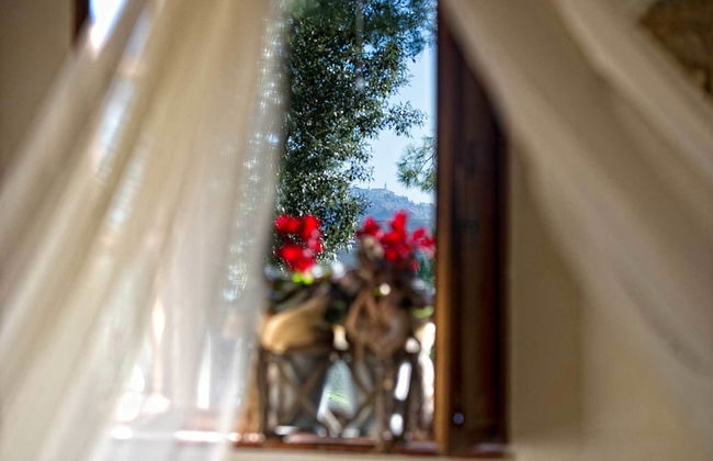 Agriturismo Palazzo Conti A - Foto 43