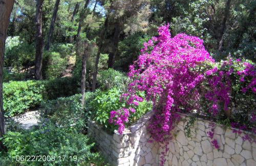 Residence Casa Di Caccia - Foto 7
