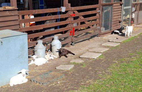 Mardi Gras, Upwell - Foto 23