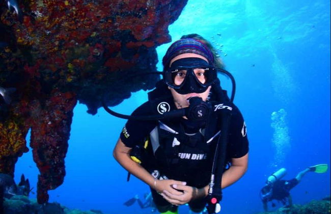 Baptême de plongée à Fernando de Noronha - Photo 5