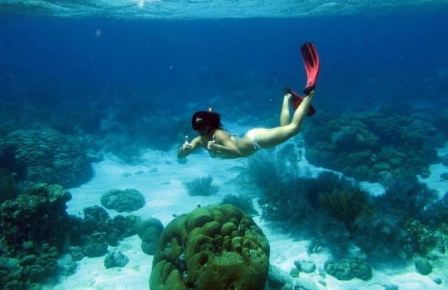 Playa Brisa y Mar Apartments - Foto 6