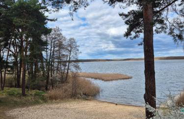 Leśne Studio - Foto 7