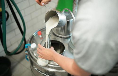 Biohof Dimper - KuhHorn - Foto 18