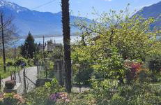 The Heritage Home - Foto 15