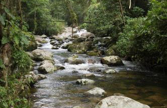 Casa Beijaflor - Photo 20