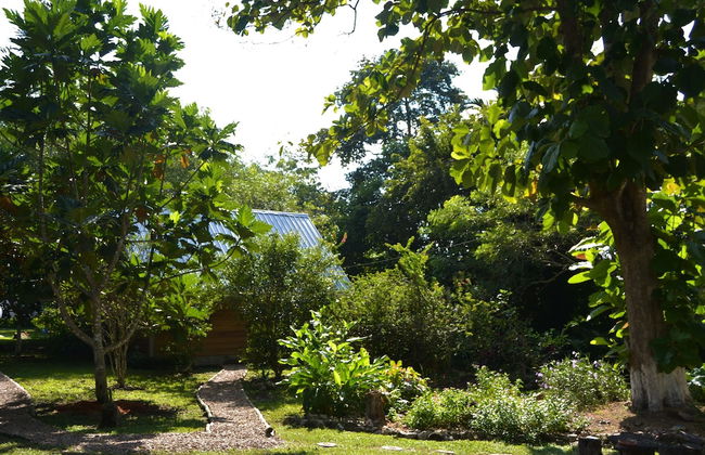 Licensed 2 Bedroom Cabin Close to San Ignacio, Local Dining, and Adventure Tours - Foto 23