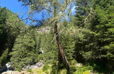 Maison Eglantine - Photo 68