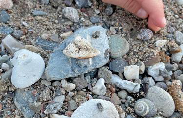 Ferienwohnung Ankerleicht - Foto 43