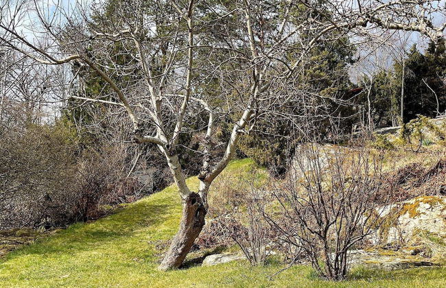 7 Person Holiday Home in Hjalteby - Photo 19