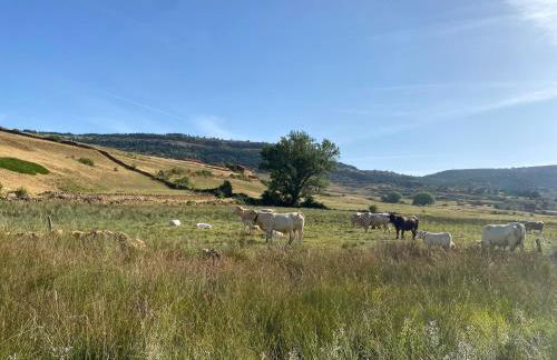 Casa Rural El Olmo - Foto 23