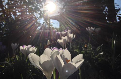 Ferienwohnungen Heideidylle - Foto 8