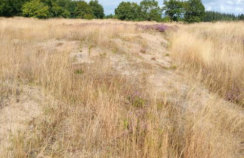 Spacious Holiday Home in Neukirchen - Foto 74