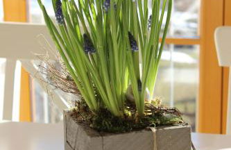 Ferienwohnung Sandra Wetzel - Foto 13